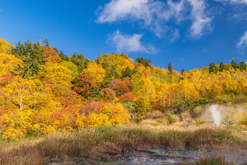 Fototapeta premium Towada Hachimantai National Park in early autumn