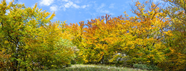 Herbst auf der Schwäbischen Alb