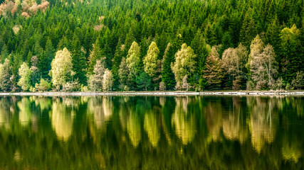 Beautiful landscape mountain lake volcanic natural reflection trees colors Romania 