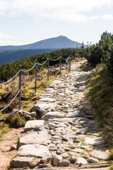 Stone path in the Krkonose/ Giant Mountains national park, Czech republic	