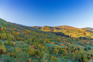 Fototapeta premium Towada Hachimantai National Park in early autumn