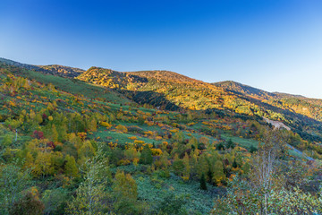 Towada Hachimantai National Park in early autumn