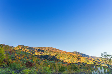 Naklejka premium Towada Hachimantai National Park in early autumn
