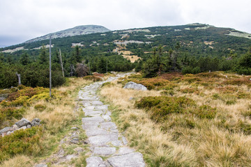 Fototapeta na wymiar Stone path in the Krkonose/ Giant Mountains national park, Czech republic 