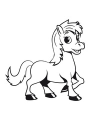 Pony Pferd spass baby Mädchen jungs süss lieb springen spielen freuen frech lächeln 1c