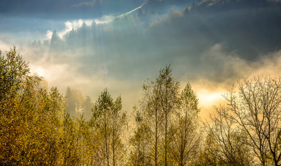 Beautiful scenery landscape Romania village mountains hills fields foggy morning first ray splitting light