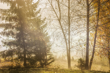 Beautiful scenery landscape Romania village mountains hills fields foggy morning first ray splitting light
