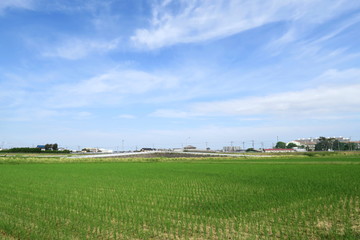 Fototapeta na wymiar 秋の穭田と秋空風景