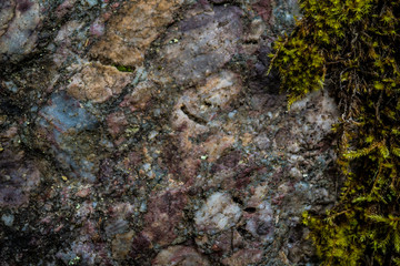 Texture of wet stone covered with moss. Background image of macro photography texture stone