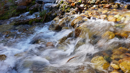 River in the forest. Autumn landscape. Water flows around the stones, visible green moss, small streams. Green gorge, grow spruce, yellow grass and trees. Mountains Of Almaty, Kazakhstan.