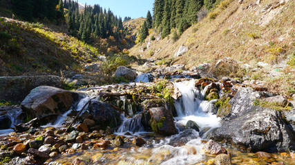River in the forest. Autumn landscape. Water flows around the stones, visible green moss, small streams. Green gorge, grow spruce, yellow grass and trees. Mountains Of Almaty, Kazakhstan. © SergeyPanikhin