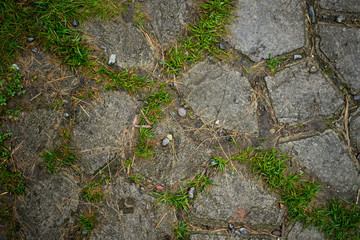 Texture of paving slabs overgrown with grass. Background image of a stratum stone