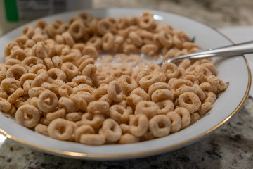 A breakfast of Toasted Round Cereal in China Bowl