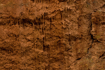 Texture of dried cracked clay. Macro background image of dried clay