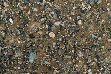 The texture of fine stone on the ground with grass and flowers. Background Image Macro Photography