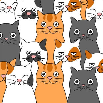 Set of funny cats