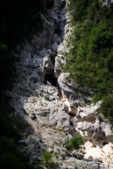 Mountain canyon in France. Verdon