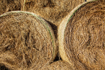 Strohrollen Nahaufnahme