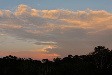 Fototapeta na wymiar Sunset at yasuni national park, Ecuador