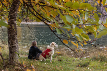 woman and dog with red harness sitting under a tree looking at the sun in a mountain lake in autumn
