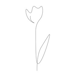 Spring flower tulip one line drawing, vector illustration