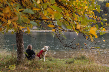 woman and dog with red harness sitting under a tree in a mountain lake in autumn