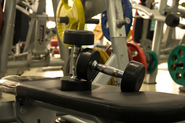 Dumbbells on a bench in the gym