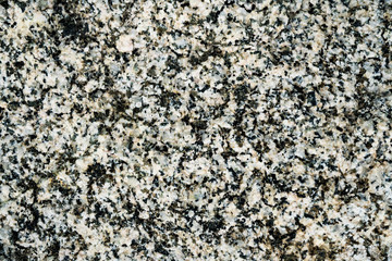 The texture of the stone overgrown with moss. Background image of a boulder