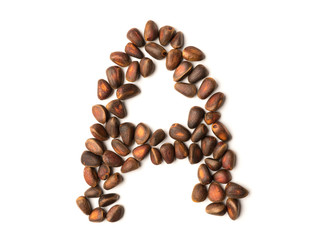 Isolated object: letter lined with ripe pine nuts