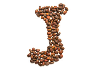 Isolated object: letter lined with ripe pine nuts