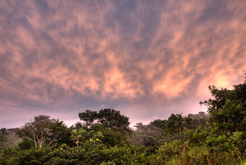 Sunset at yasuni national park, Ecuador