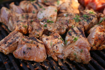 Mixed grilled meat platter. Assorted delicious grilled meat. The closeup of some meat skewers being grilled in a barbecue. grilled meat skewers, barbecue.