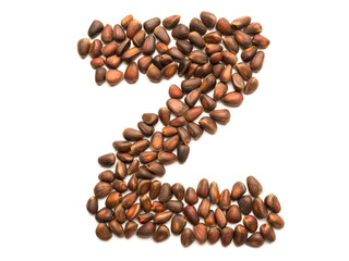 Isolated object: letter lined with ripe pine nuts