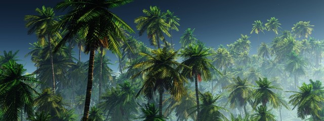 Panorama of palm trees in the fog. Morning jungle. 