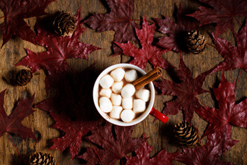 Hot cocoa with marshmallow in a red ceramic cup