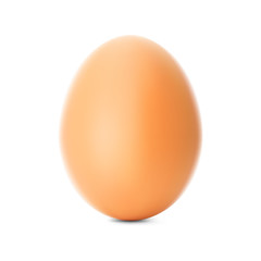 Fresh brown chicken egg. Realistic vector illustration isolated on white background.  Ready for your design. EPS10.