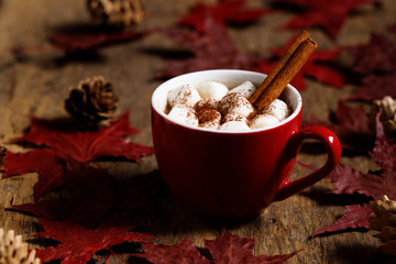 Hot cocoa with marshmallow in a red ceramic cup