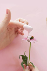 Female hand with dripping  paint holding echinacea on pink background