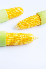 Corn on a white background.