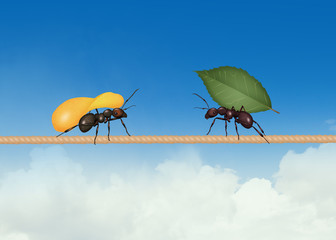 Fototapeta na wymiar two ants with potato and leaf