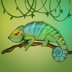 illustration of chameleon