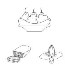 Vector illustration of organic and potassium icon. Set of organic and diet stock vector illustration.