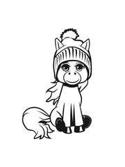 Pony Pferd sitzen spass pudelmütze Mädchen süss lieb springen spielen frech lächeln 1c