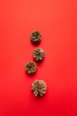 Christmas composition. Pine cones on red background.