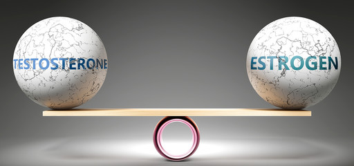 Testosterone and estrogen in balance - pictured as balanced balls on scale that symbolize harmony and equity between Testosterone and estrogen that is good and beneficial., 3d illustration