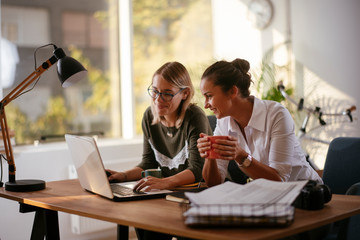 Businesswomen discussing work in the office 