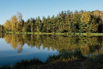 Fototapeta na wymiar Le reflet des arbres sur un lac. Un lac avec des arbres. Une forêt du Morvan. Un lac du Morvan