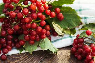 Viburnum berries with bunches. Viburnum on wooden background