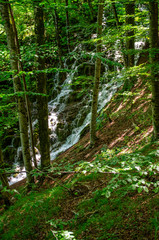 Fototapeta premium Picturesque landscapes of Plitvice Lakes with waterfalls, mountain rivers, forests and mountains