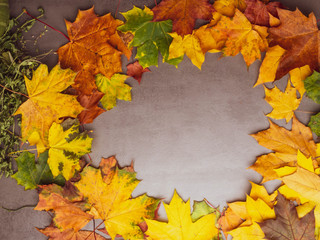 Naklejka na ściany i meble Autumn falling maple leaves isolated on grey background